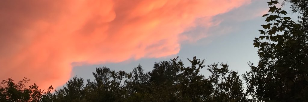 AmyOnceAgain's profile banner image