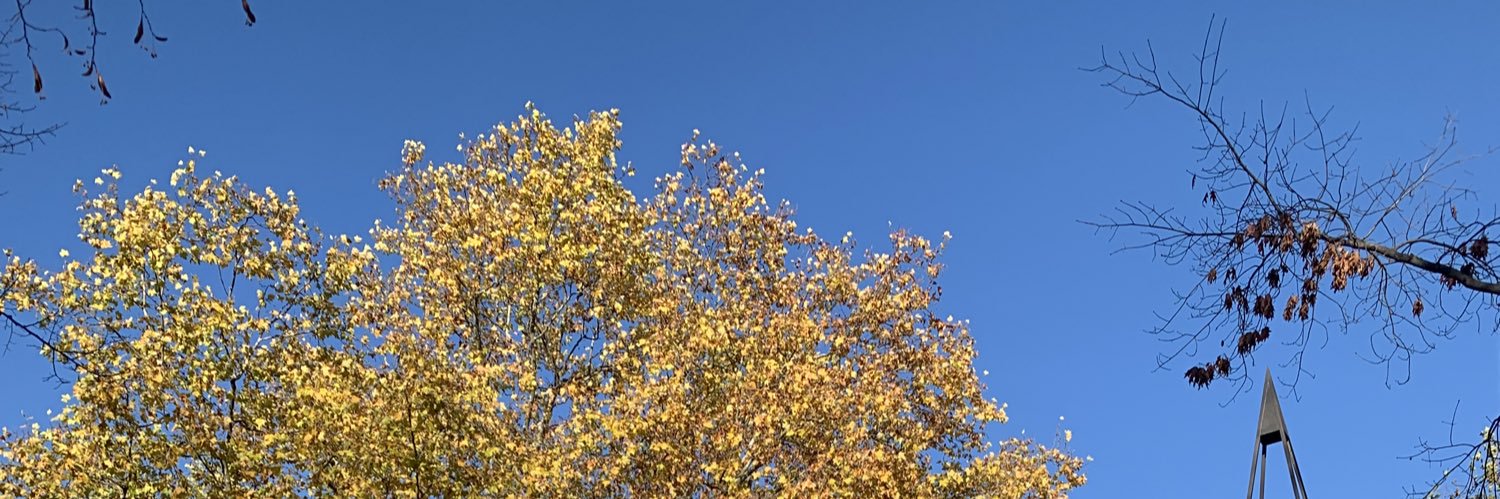 rthcr's profile banner image
