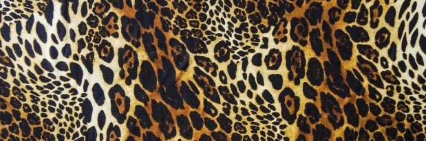 dri6mafia's profile banner image