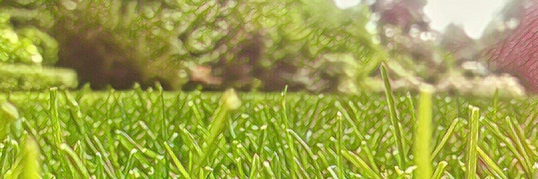 kastarf's profile banner image