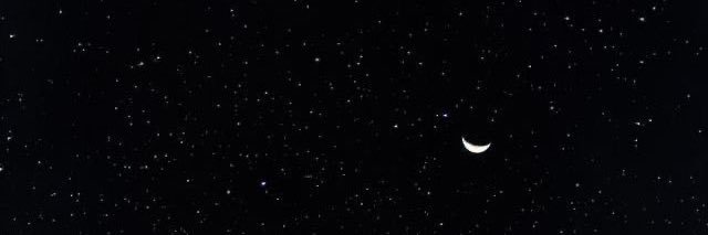 iris ⋆˙⟡ banner