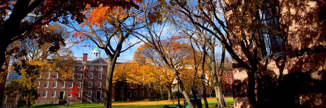 Brown Political Review banner