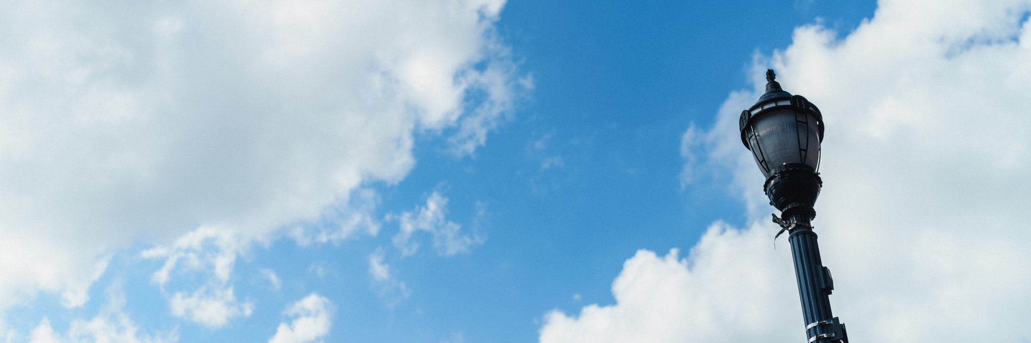 Tess Thomas banner