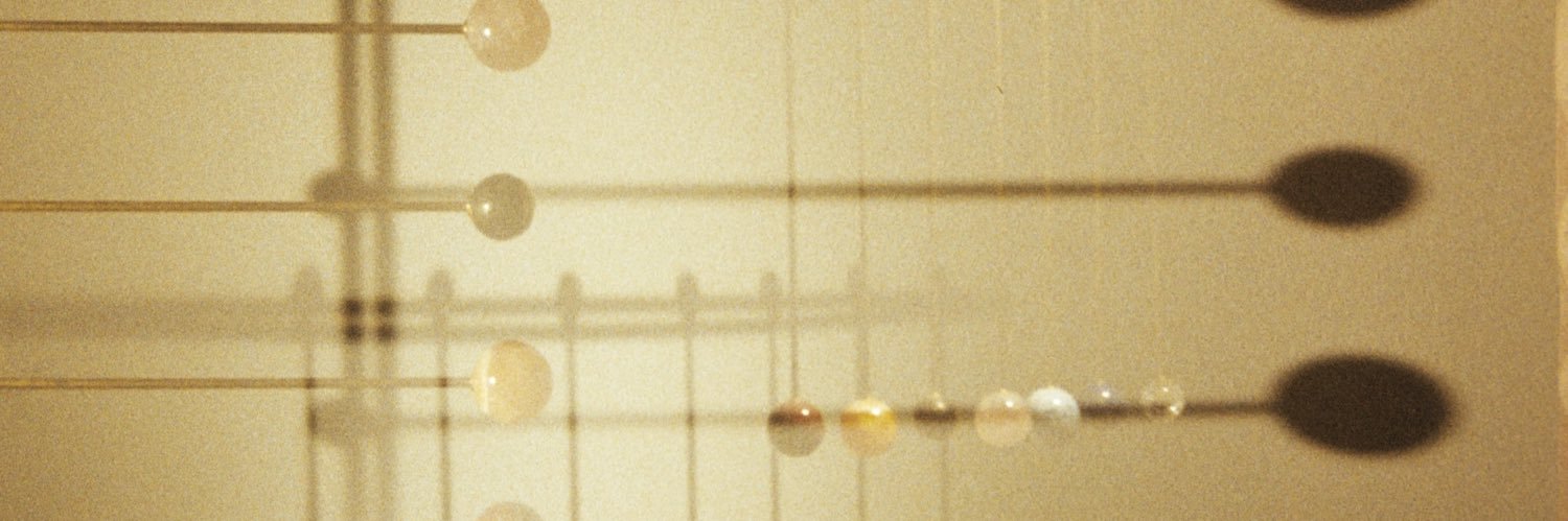 janaine's profile banner image