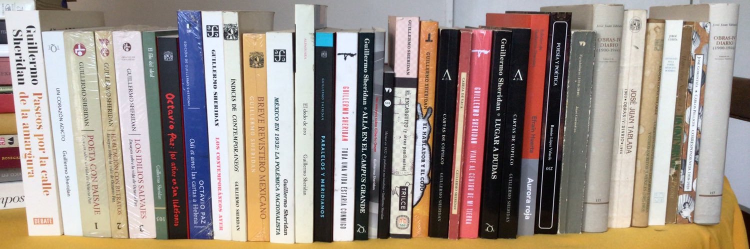 Guillermo Sheridan banner