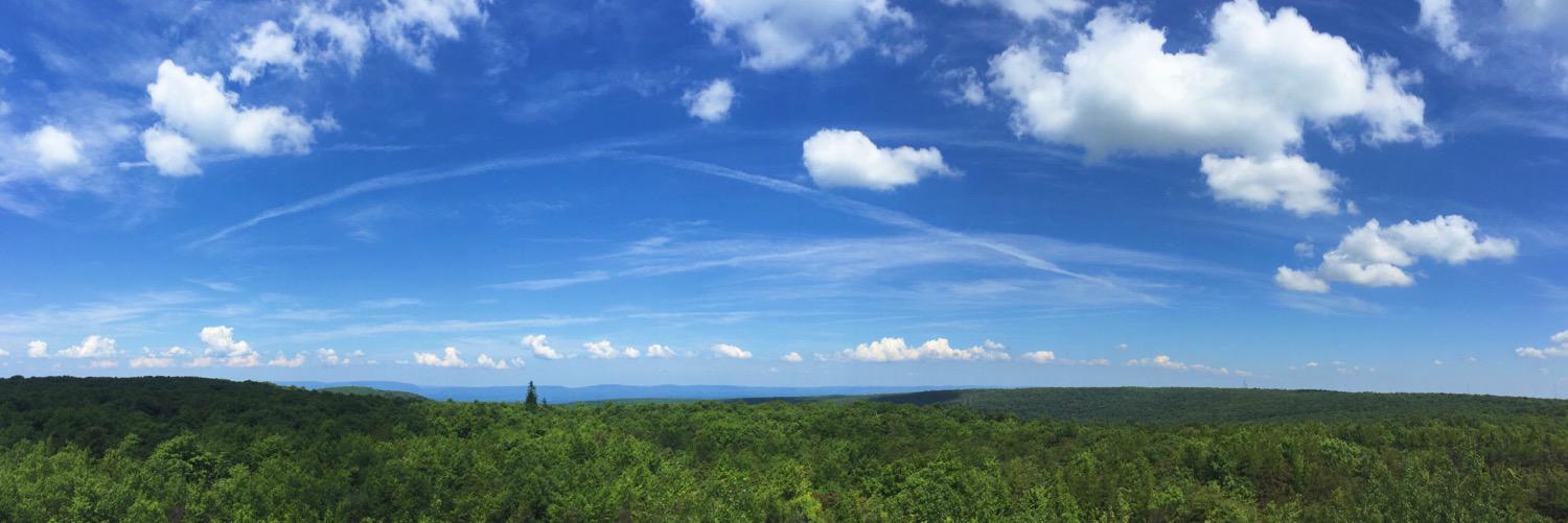 EmilyTaylor456's profile banner image