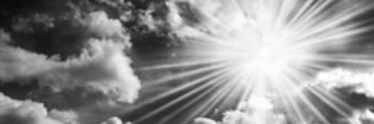 JJ McGraySunshine banner