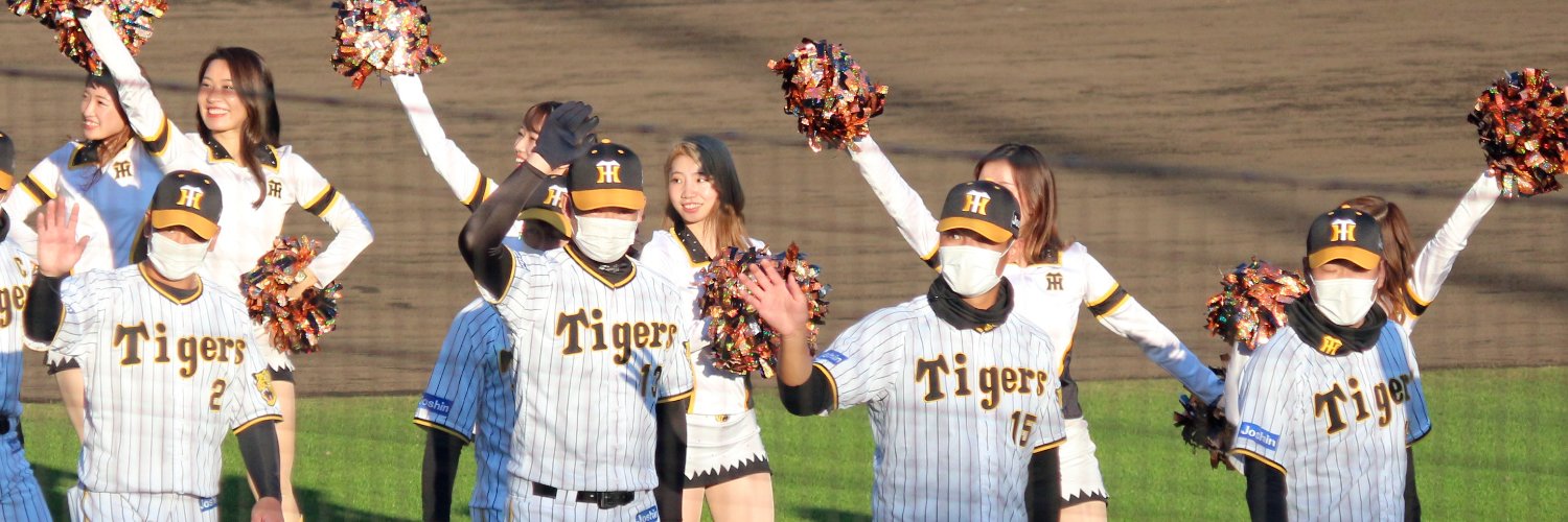 しん@ＮＭＢ推し&若虎の躍動で熱覇とらほー🐯 banner