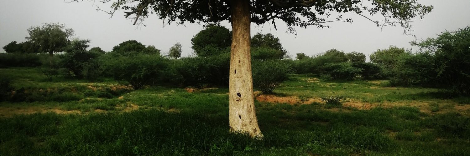 husplm's profile banner image