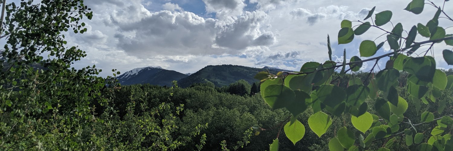 Emily Rubenstein banner
