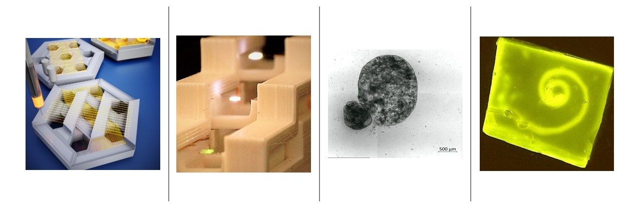 Yan Yan Shery Huang banner