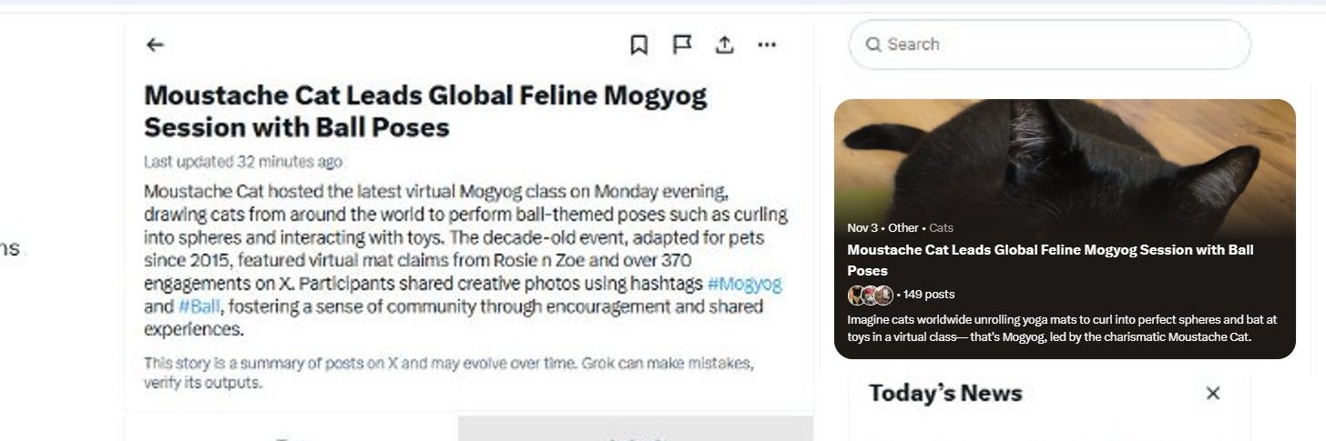 Moustache Cat banner