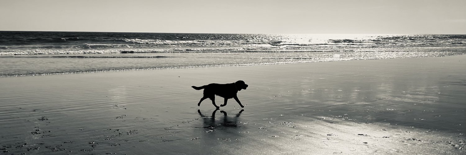 bpwaterson's profile banner image