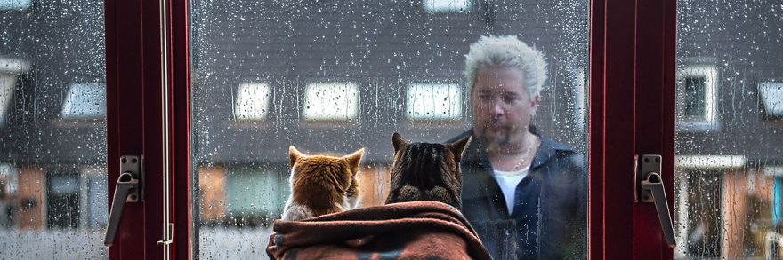 van_faux's profile banner image