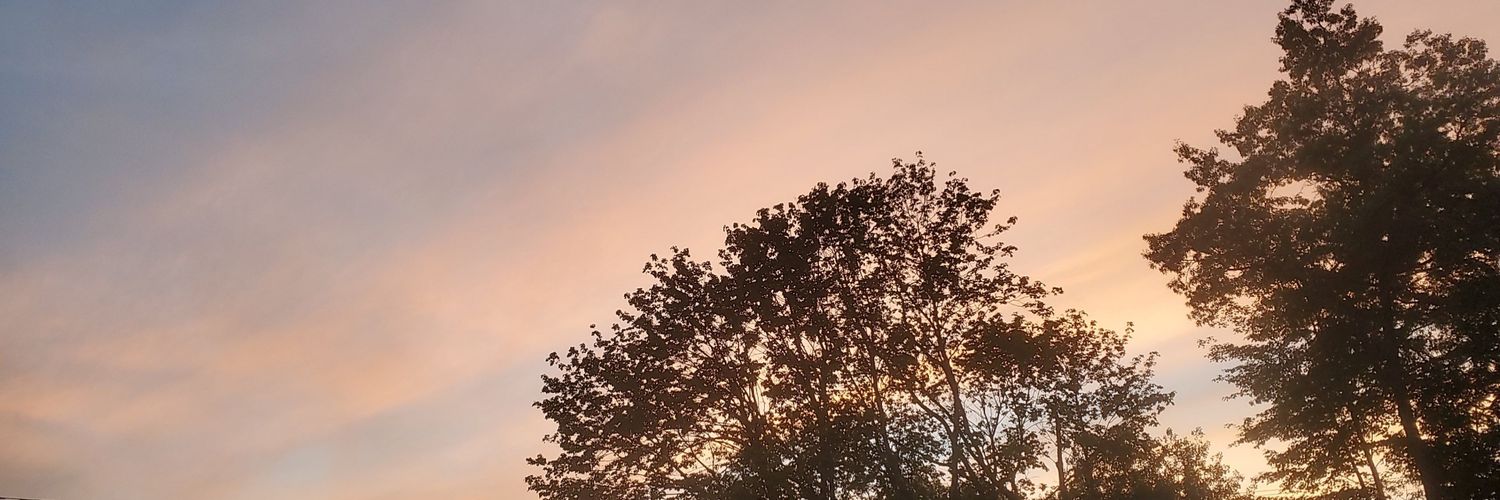 priscisoto99's profile banner image