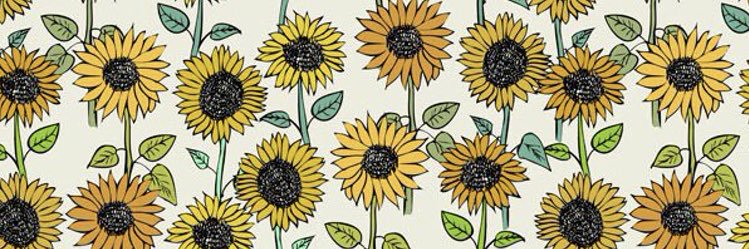 elisaah796's profile banner image