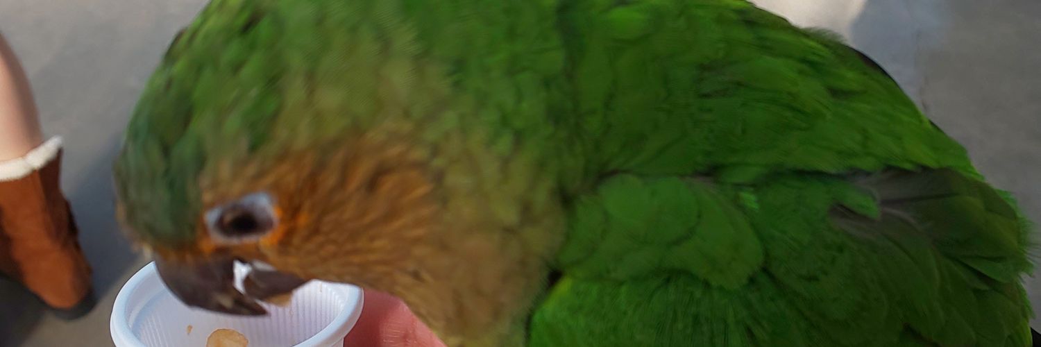urako_hm's profile banner image