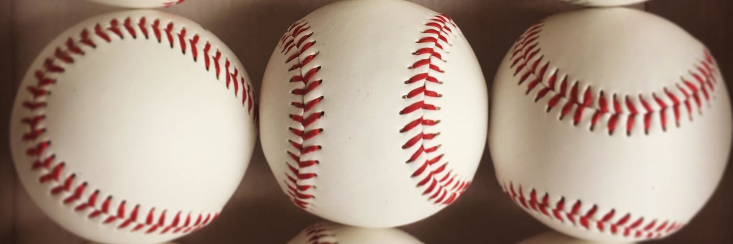 meghan maloney-vinz banner