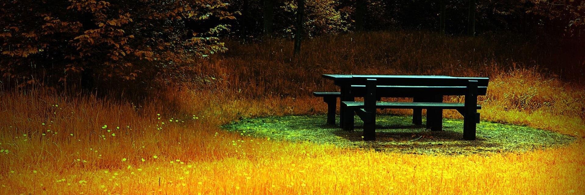 Neelesh patel🇮🇳 banner