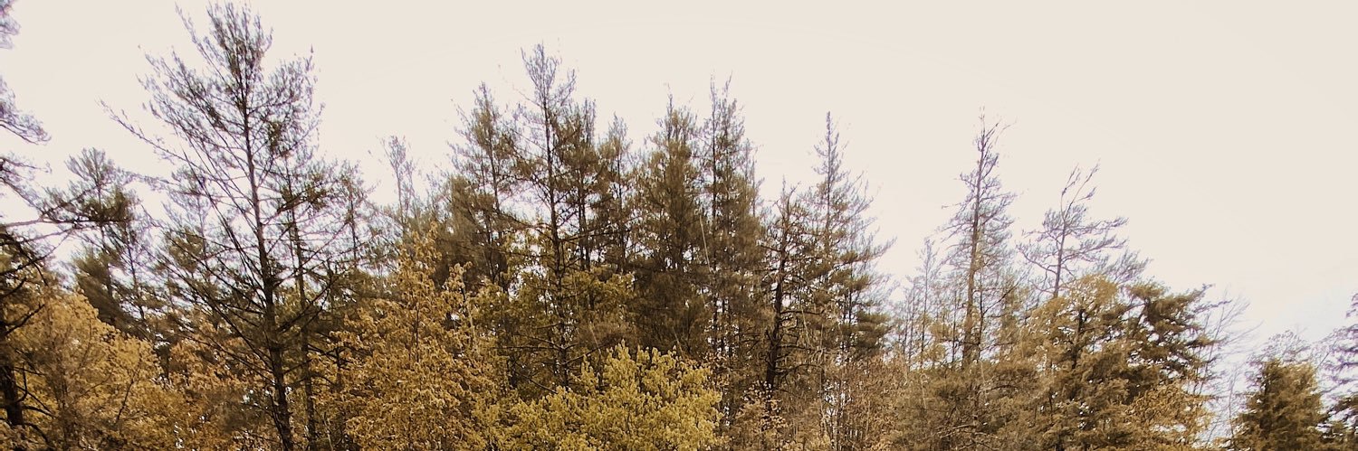 RoachTanner's profile banner image
