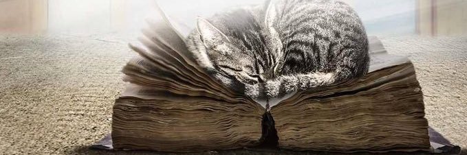 kattamcollin's profile banner image