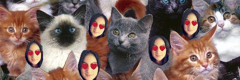 miremireia16's profile banner image