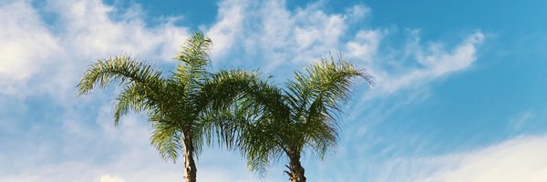 lucasape Profile Banner