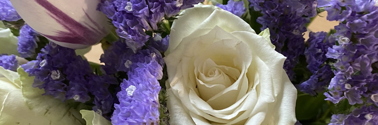 LptrElisa's profile banner image