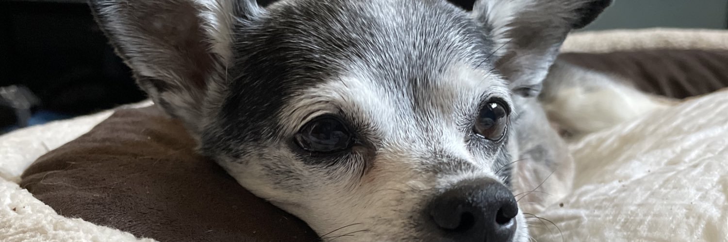 ItsHappyHG's profile banner image