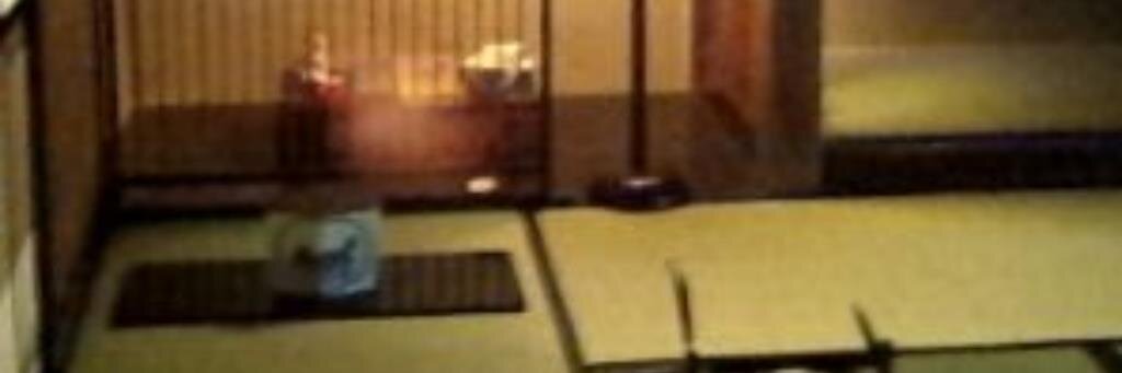 todoneko's profile banner image