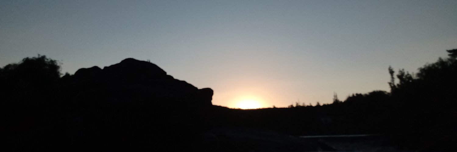 alfonpiconee's profile banner image