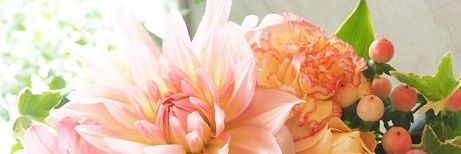 mkn4's profile banner image