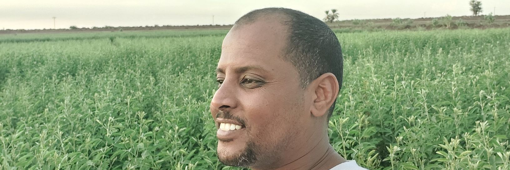 hsnabojaafar's profile banner image
