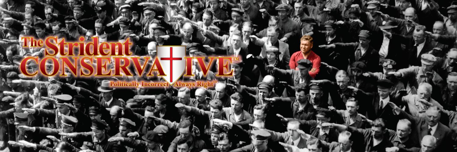StridentConservative's banner