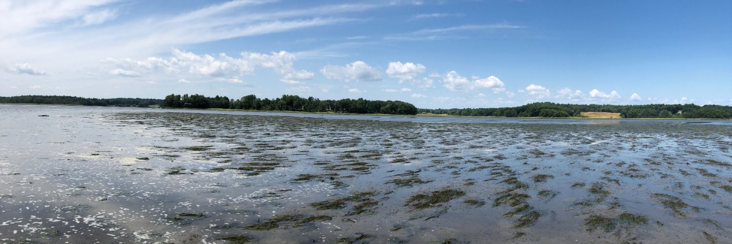 MrEelgrass's profile banner image