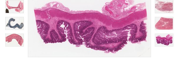 VMDatabase Profile Banner