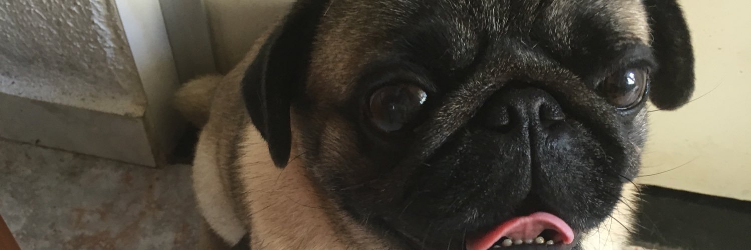 biner_fob's profile banner image