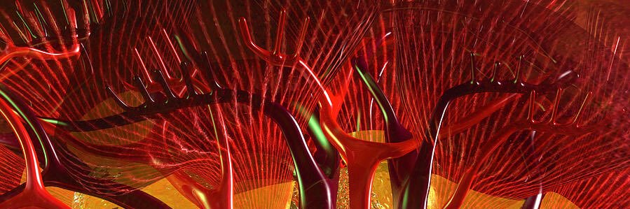 Derek Larson, MD, FASN banner