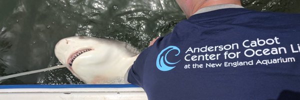 DrNickWhitney Profile Banner