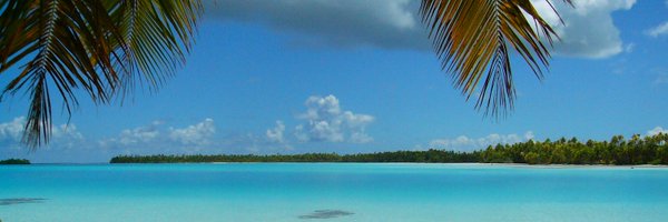 JeromeMechBio Profile Banner