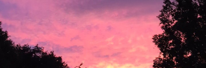 Elinopss's profile banner image