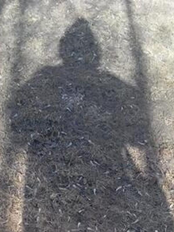 SergeyVoid's profile banner image