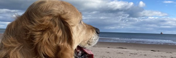 xlisayoungx Profile Banner