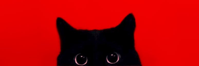 fløwerr |-/ banner