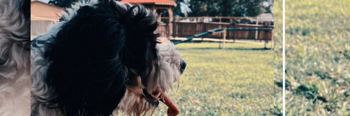 StevieDoeee's profile banner image