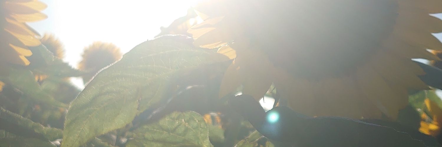 chayteerete's profile banner image