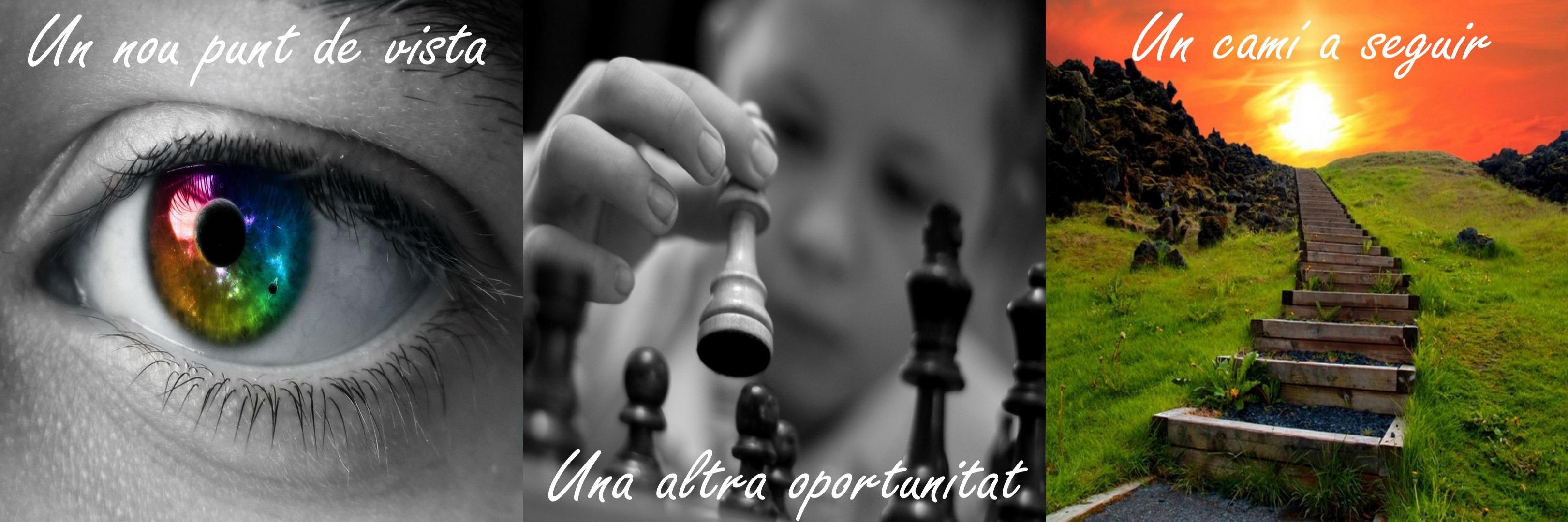 profeamida's profile banner image
