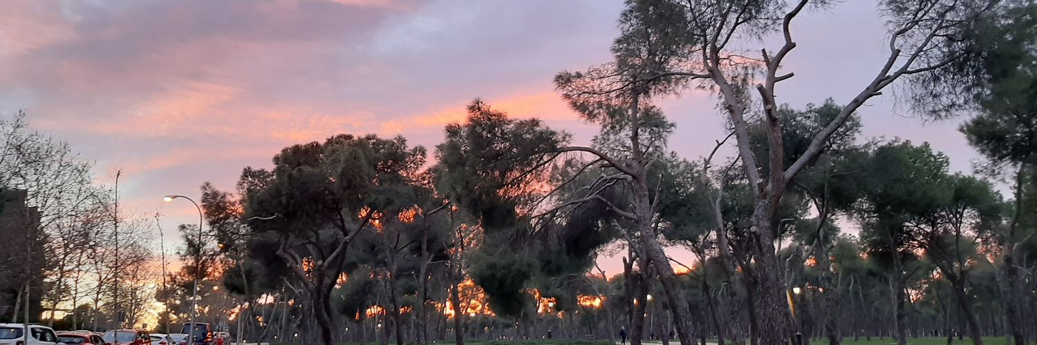 Carlosgm976's profile banner image