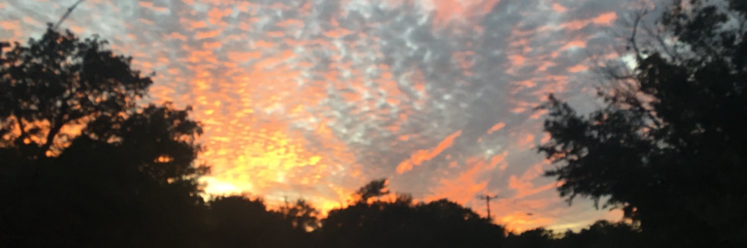 ebiscuitt's profile banner image