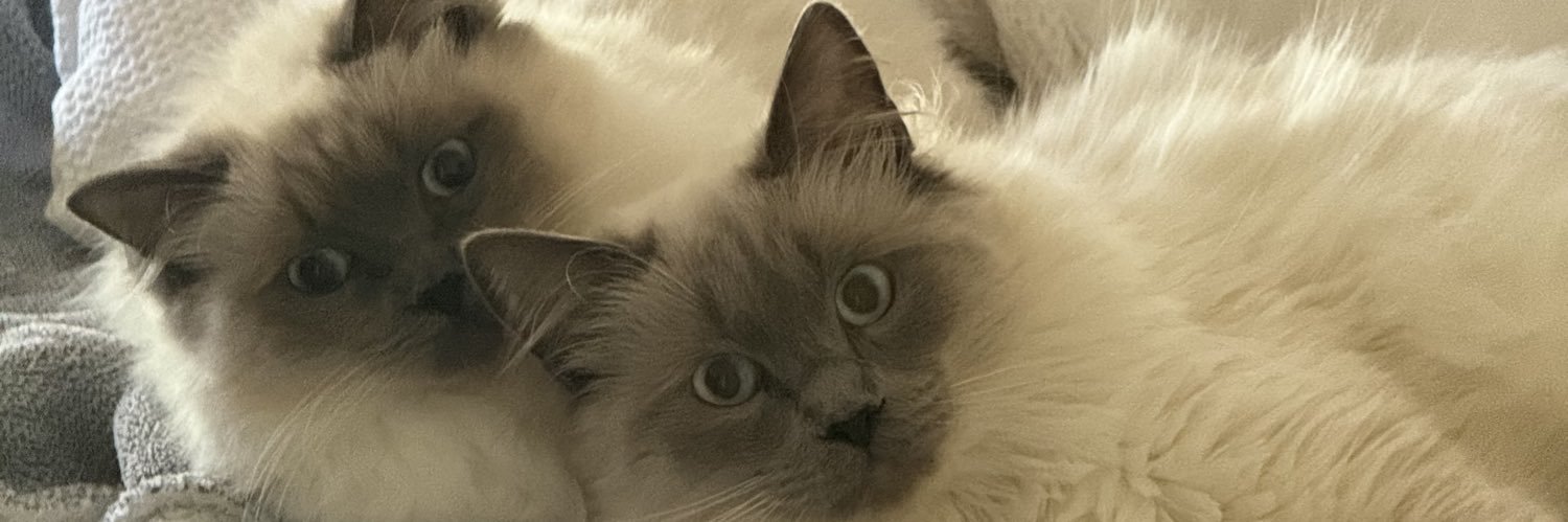 eli_ndigente's profile banner image